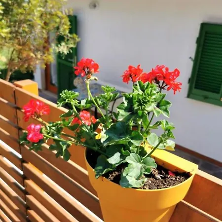 Casa Fiorita Apartamento *